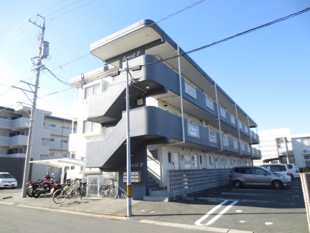 FOREST F その他3