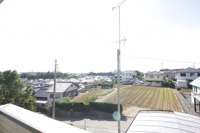 ステファニーⅡ その他6