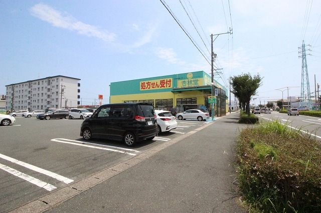 ドエールアポロⅡ ドラッグストア