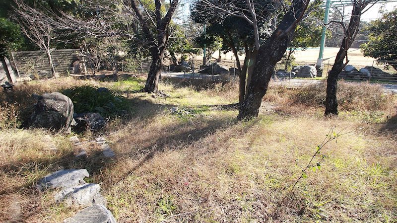 幸3丁目戸建て その他32