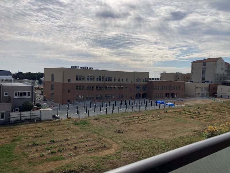 まえの花きゃべつ その他4