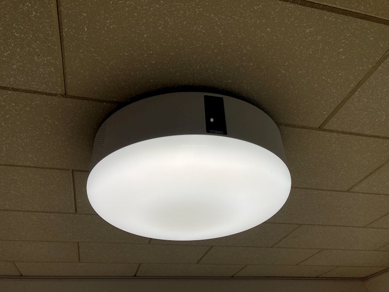 まえの花きゃべつ その他5