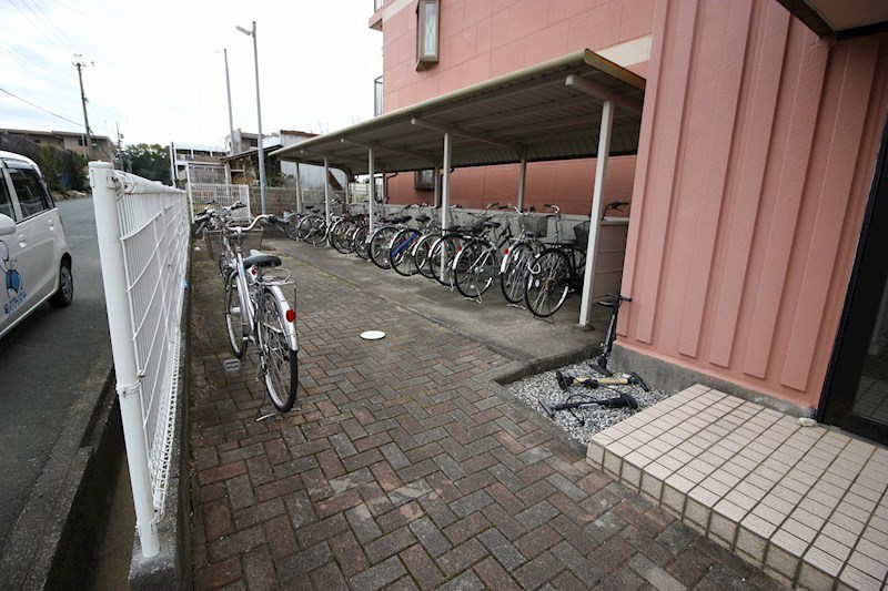 まえの花きゃべつ その他6