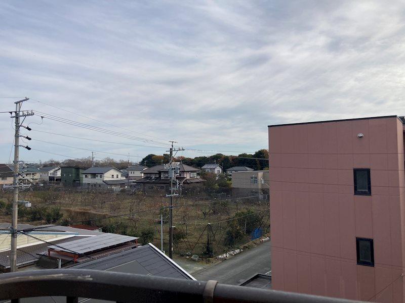 となりの花きゃべつ その他5