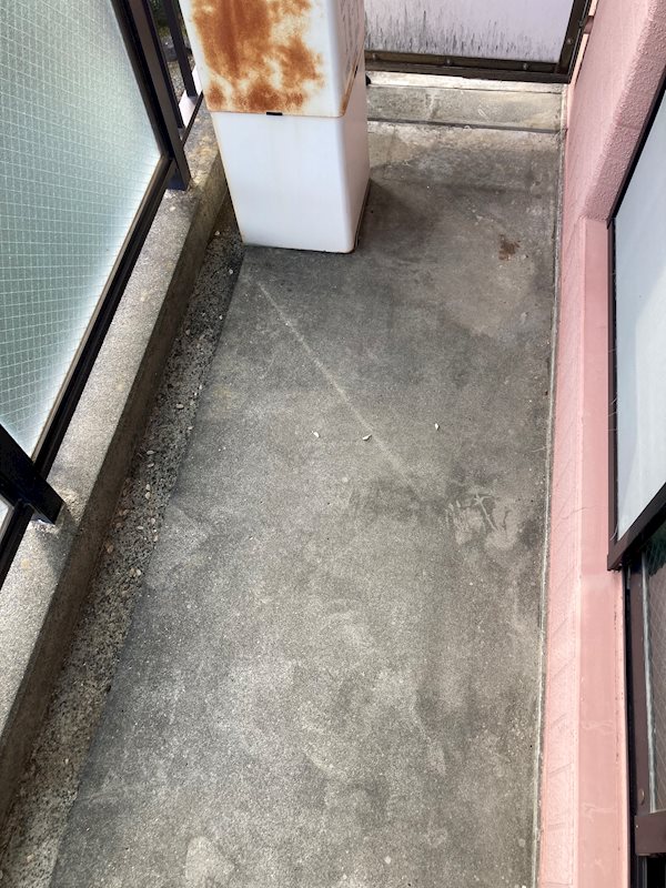 となりの花きゃべつ ベランダ