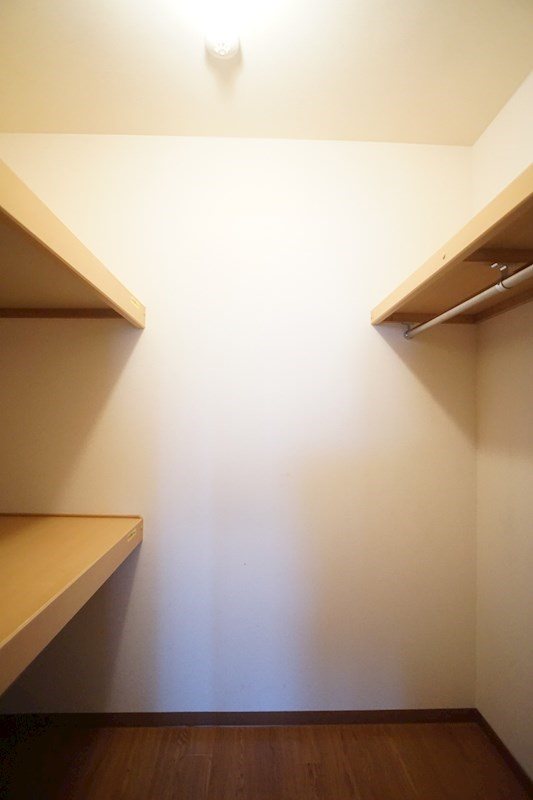 ゴールドスカイ その他5