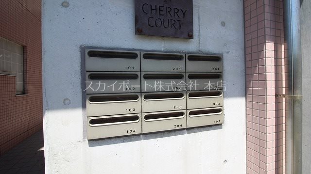 チェリーコート その他3