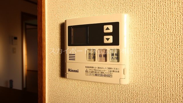 リュートB その他17