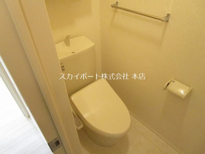 カモミール初生 その他2