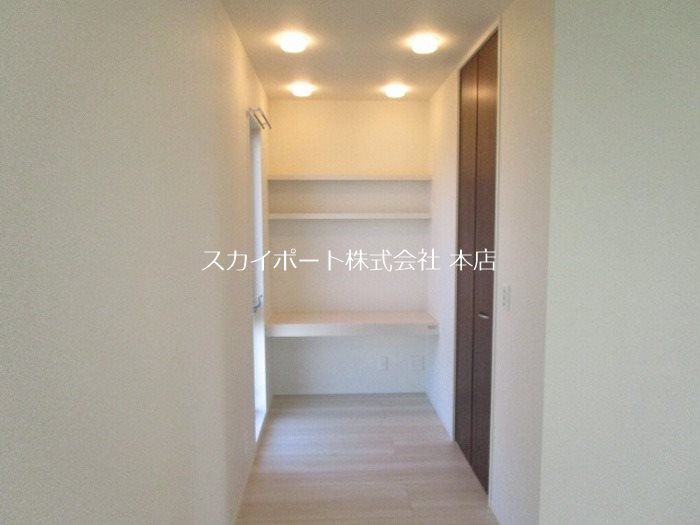 カモミール初生 その他3