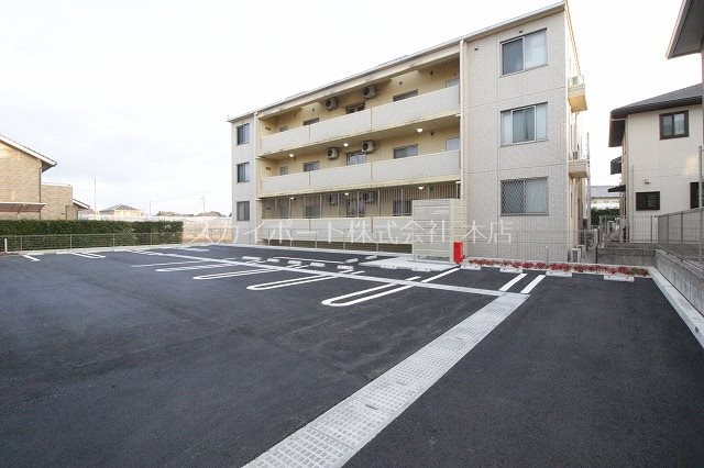 カモミール初生 その他6