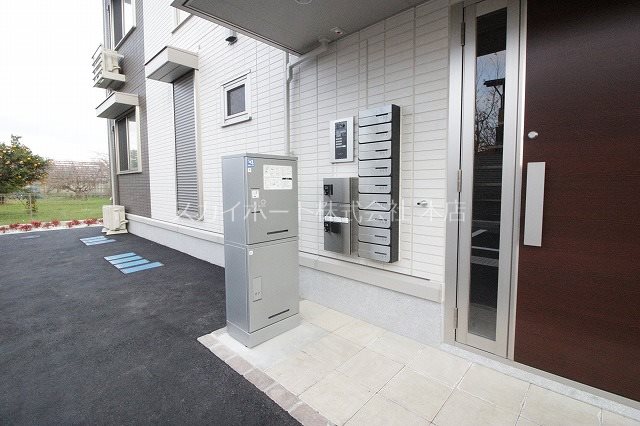 カモミール初生 その他8