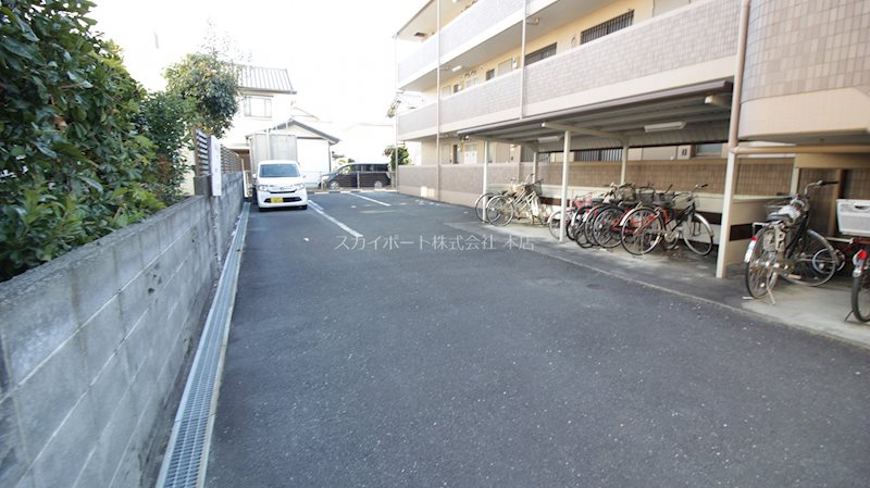 ピュア葵 その他4