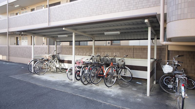 ピュア葵 その他5