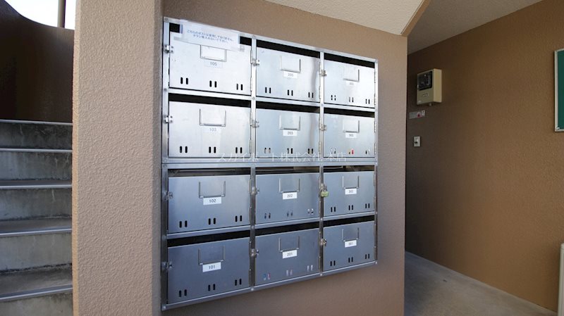 ピュア葵 その他6