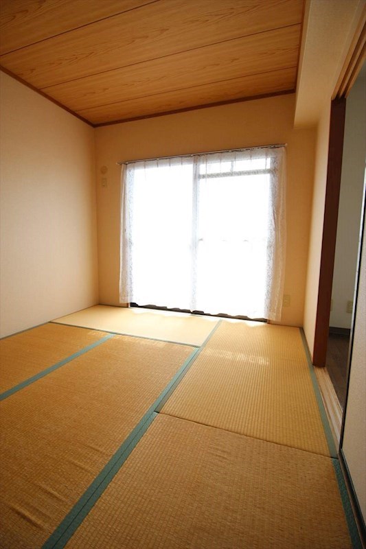 ピュア葵 その他16