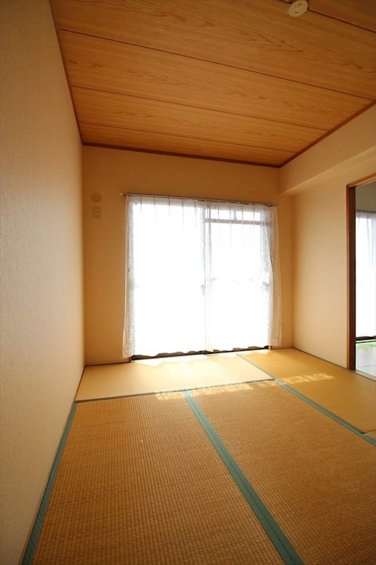 ピュア葵 その他17