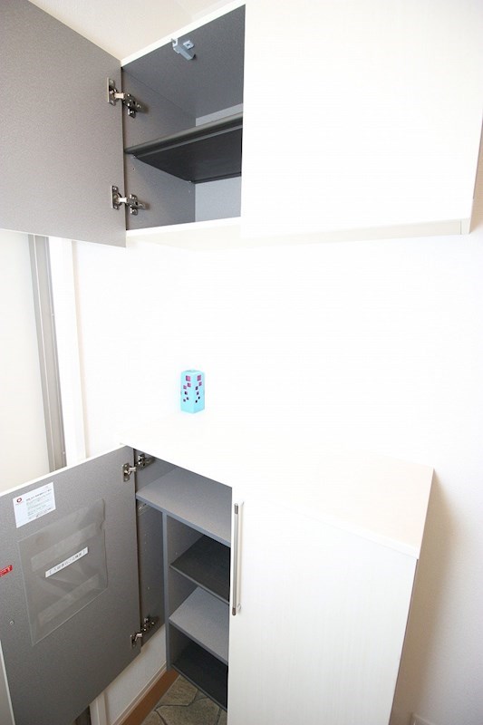 ロイヤルガーデン染地台A 玄関