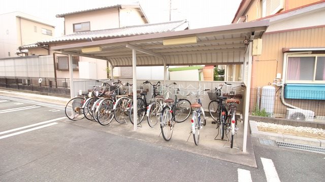 Gold M Kamo その他5