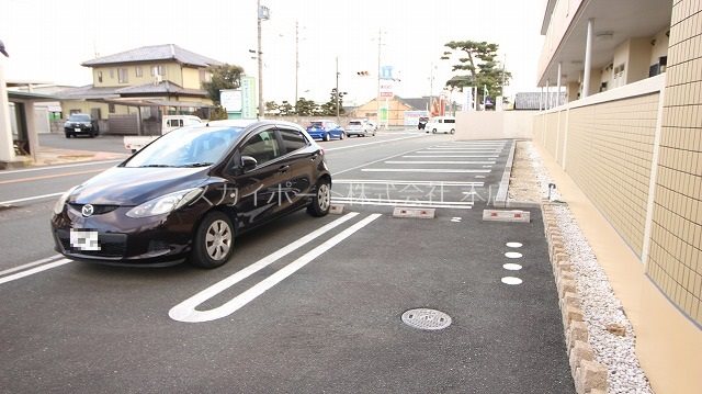 Gold M Kamo その他9