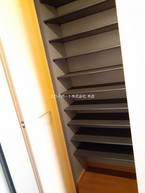 Gold M Kamo その他10