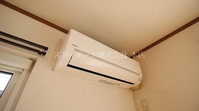 カメリア その他4