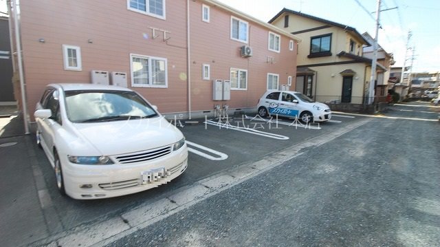 カメリア その他6