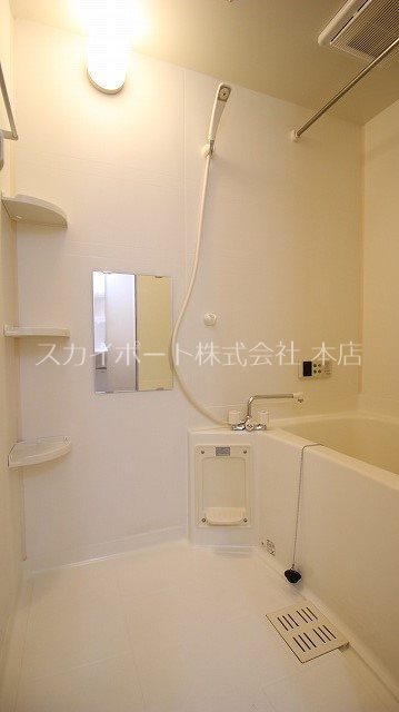 カメリア その他10