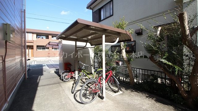 カメリア その他25