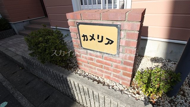 カメリア その他26