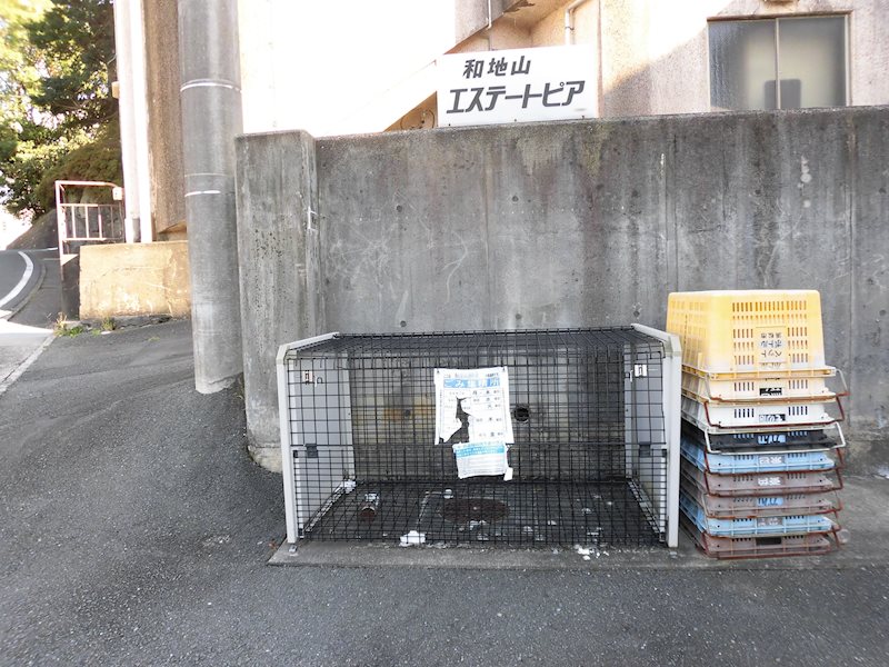 カサボニータ その他17