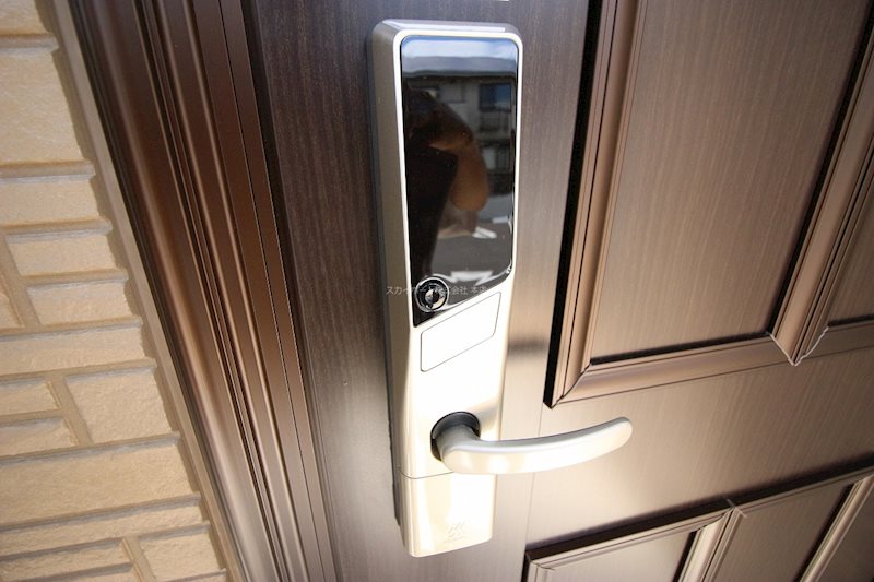 ALBA GLANDE B その他8