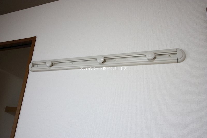 ラディ　A  その他30