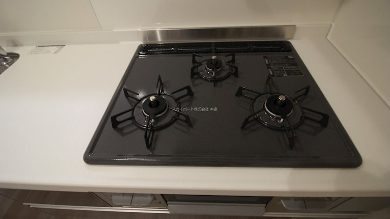 ハルモニア その他3