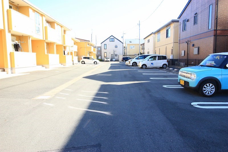 プリムローズ その他6