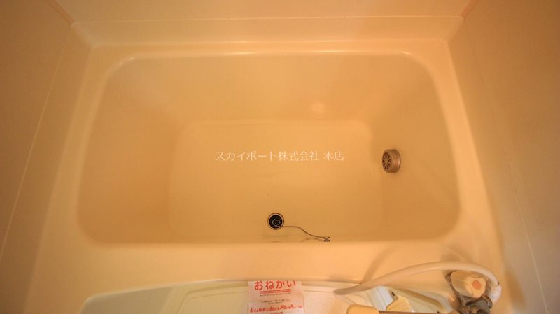 プリムローズⅠ その他12