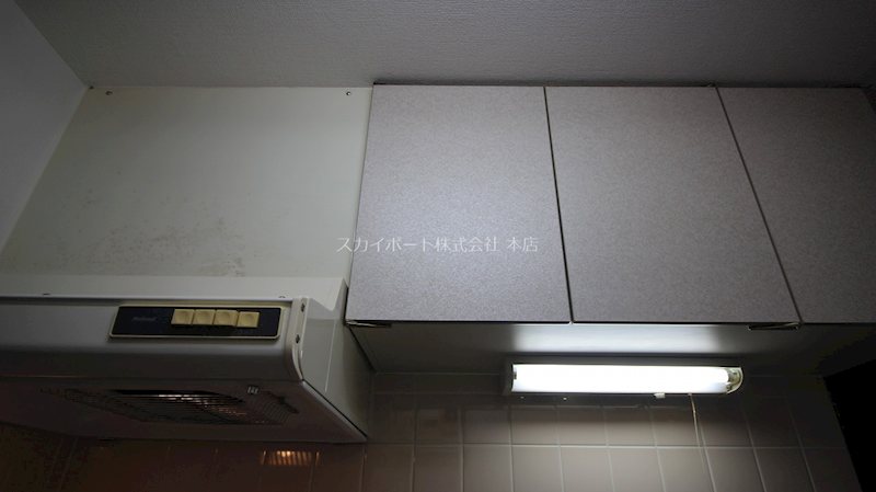 ForceⅠ その他14