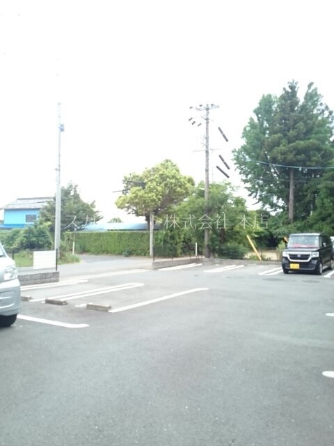 プリムローズ その他6