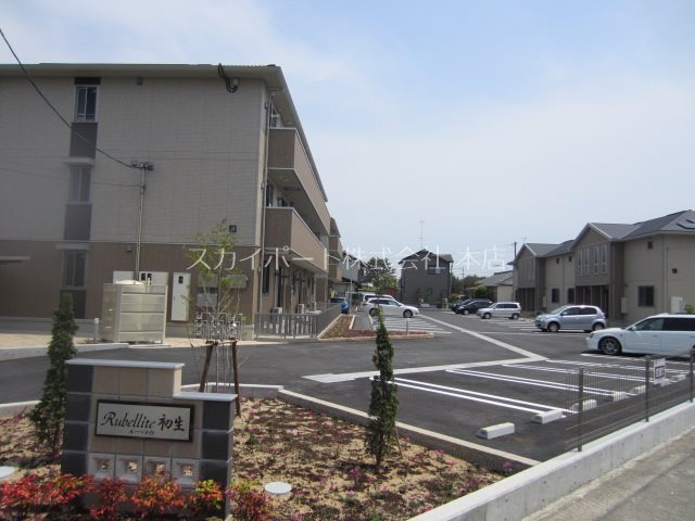 ルーベライト初生C その他1