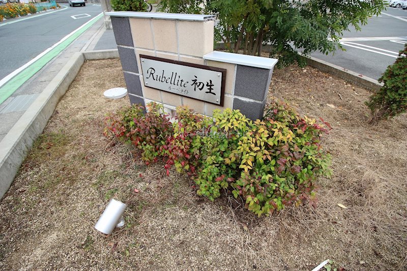 ルーベライト初生C その他3