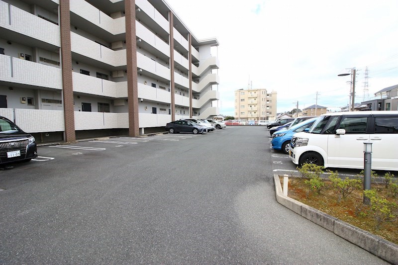 エクセルシア その他4