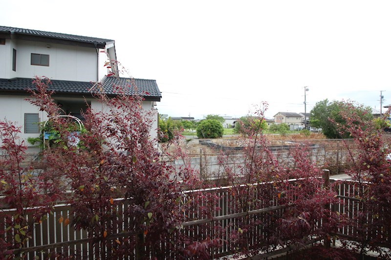 グランティアラ    その他15