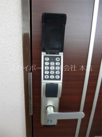 South Verushina その他3