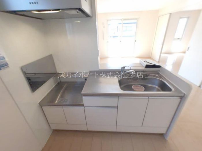 Leonids B キッチン