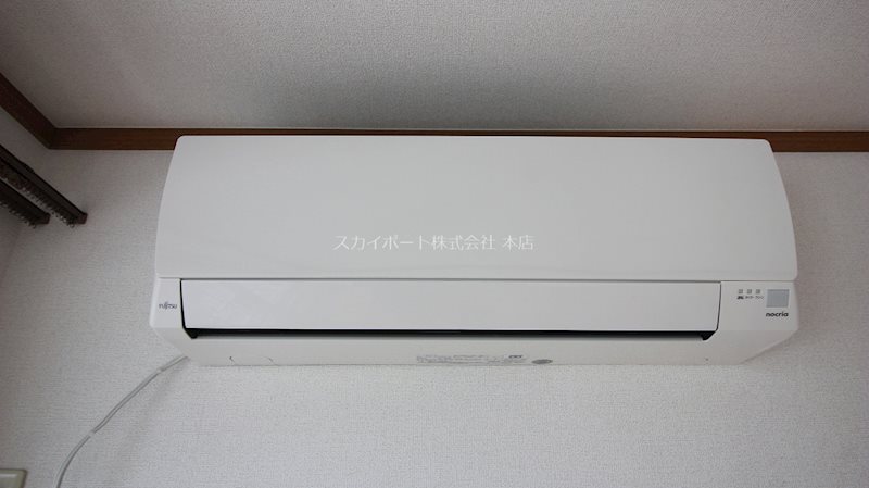 ペルペート その他11