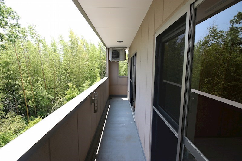 田畑ハイツそれいゆⅢ ベランダ