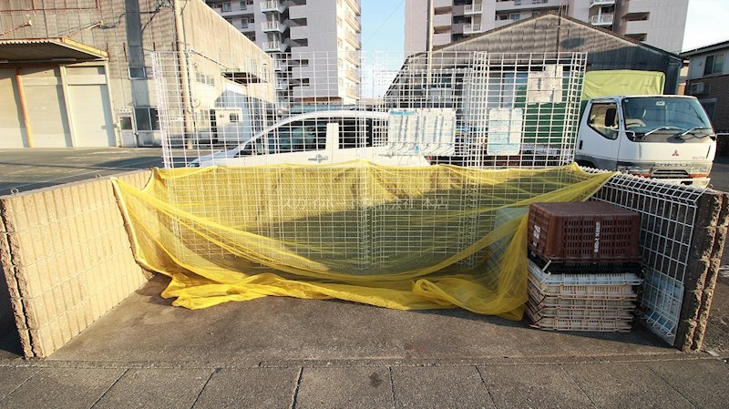 カトレア高丘 その他17