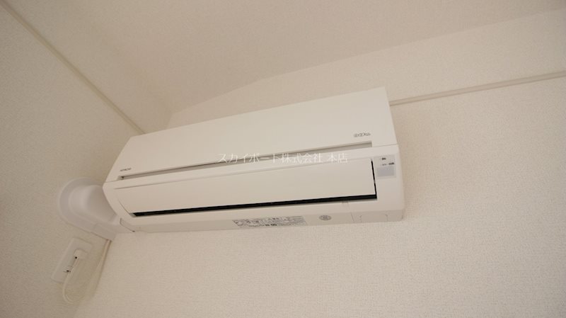 スザンヌ　ランラン その他5