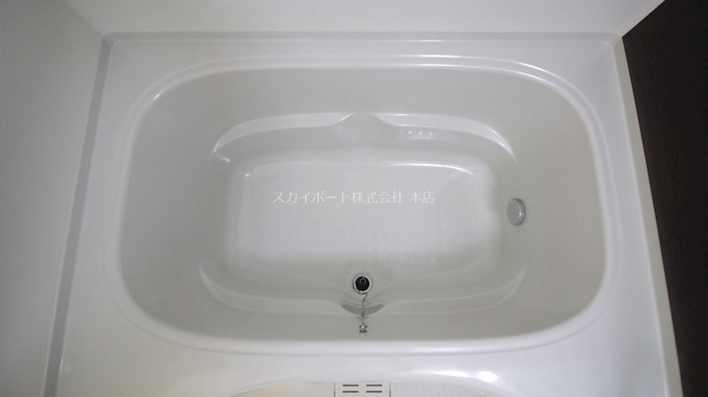 スザンヌ　ランラン その他9