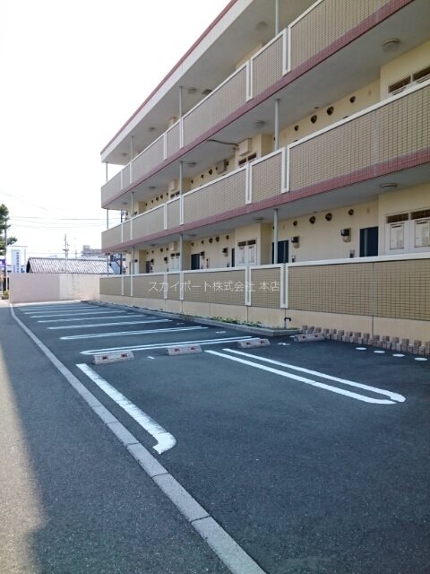 Gold M Kamo その他1